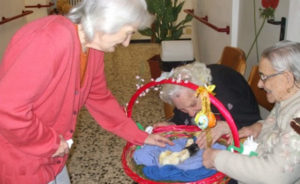pulcini4